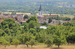 Blick auf Oberhaid ins Maintal
