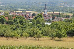 Blick auf Oberhaid und Maintal von Norden